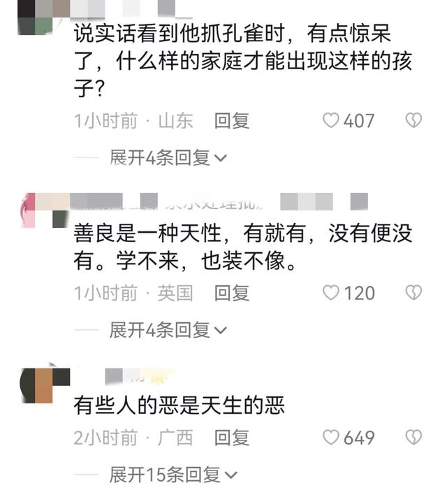 世界上最恐怖的孔雀世界上最恐怖的孔雀是什么插圖8 世界上最恐怖的孔雀世界上最恐怖的孔雀是什么插圖8