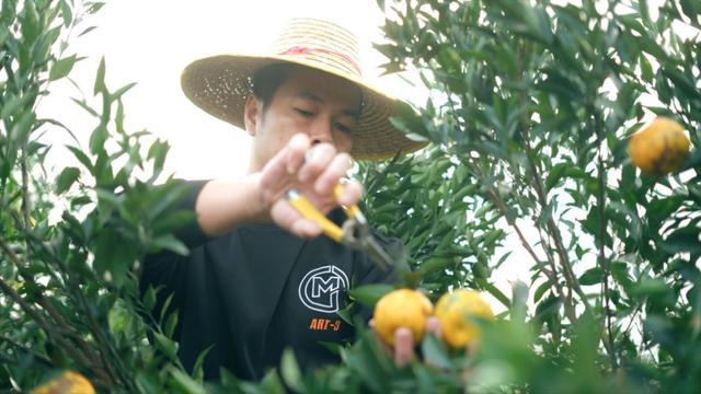 拼多多助力全是福氣滿滿拼多多福氣滿滿還有希望嗎插圖 拼多多助力全是福氣滿滿拼多多福氣滿滿還有希望嗎插圖