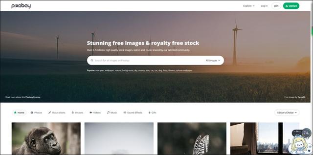stocksnap中國素材網免費素材圖庫插圖3 stocksnap中國素材網免費素材圖庫插圖3