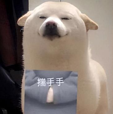 myfreemp3在線音樂下載官網freemp3在線音樂網站官網插圖1 myfreemp3在線音樂下載官網freemp3在線音樂網站官網插圖1