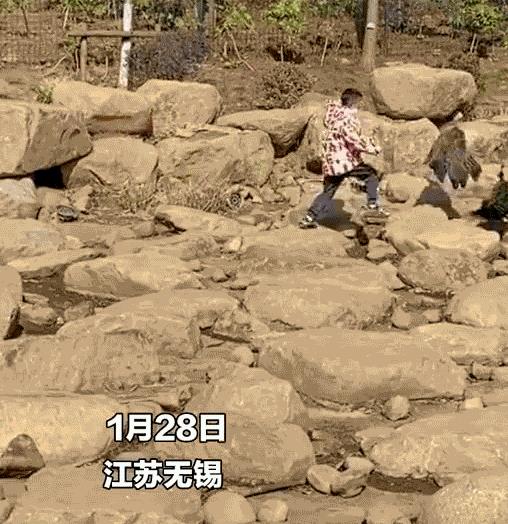 世界上最恐怖的孔雀世界上最恐怖的孔雀是什么插圖 世界上最恐怖的孔雀世界上最恐怖的孔雀是什么插圖