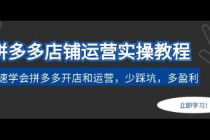 拼多多店鋪運營實操教程：快速學會拼多多開店和運營，少踩坑，多盈利