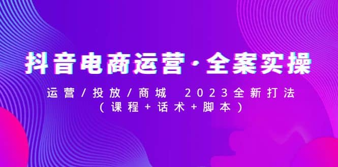 抖音電商運(yùn)營·全案實(shí)操：運(yùn)營/投放/商城 2023全新打法插圖