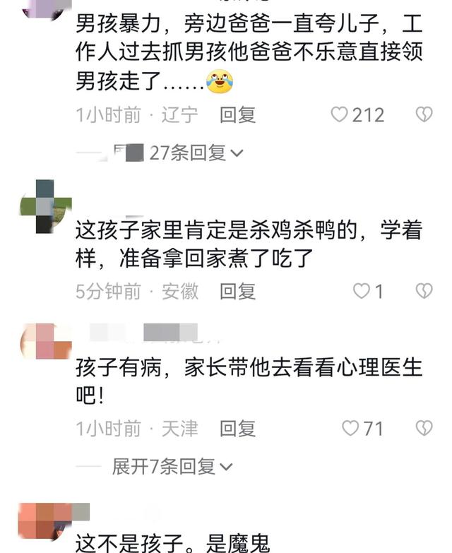世界上最恐怖的孔雀世界上最恐怖的孔雀是什么插圖6 世界上最恐怖的孔雀世界上最恐怖的孔雀是什么插圖6