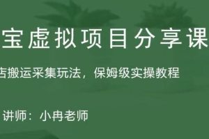 淘寶虛擬整店搬運采集玩法分享課：整店搬運采集玩法，保姆級實操教程