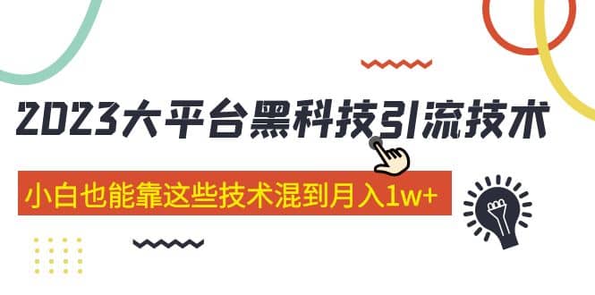 價值4899的2023大平臺黑科技引流技術(shù) 29節(jié)課插圖