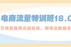 電商流量特訓班18.0，直引萬流量破局實操玩法，現場出數據拿結果