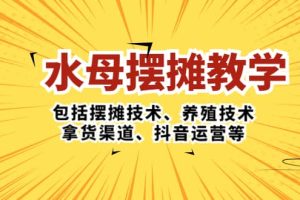 水母·擺攤教學，包括擺攤技術、養殖技術、拿貨渠道、抖音運營等