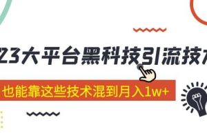 價值4899的2023大平臺黑科技引流技術(shù) 29節(jié)課