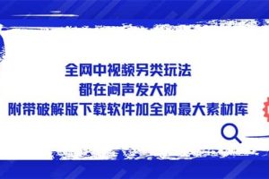 全網中視頻另類玩法，都在悶聲發大財，附帶下載軟件加全網最大素材庫