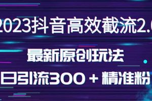 日引300＋創業粉，獨家抖音高效截流2.0玩法（價值1280）