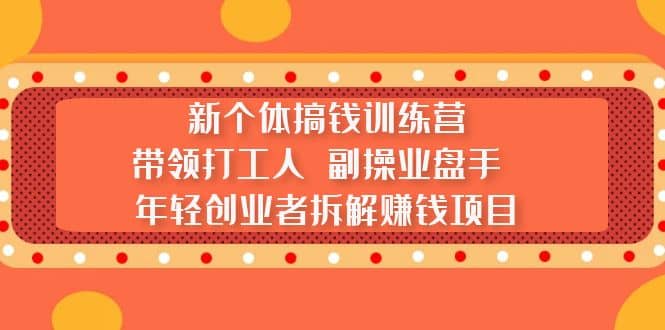 新個(gè)體搞錢訓(xùn)練營：帶領(lǐng)打工人 副操業(yè)盤手 年輕創(chuàng)業(yè)者拆解賺錢項(xiàng)目插圖