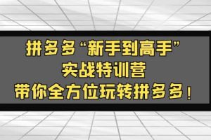 拼多多“新手到高手”實(shí)戰(zhàn)特訓(xùn)營(yíng)：帶你全方位玩轉(zhuǎn)拼多多