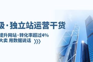 獨立站運營干貨：全面提升網站·轉化率超過4%，輕松大賣 用數據說話