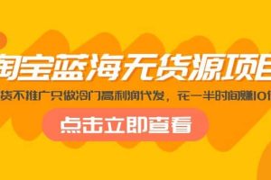 淘寶藍海無貨源項目，不囤貨不推廣只做冷門高利潤代發
