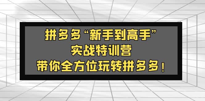拼多多“新手到高手”實(shí)戰(zhàn)特訓(xùn)營(yíng)：帶你全方位玩轉(zhuǎn)拼多多插圖
