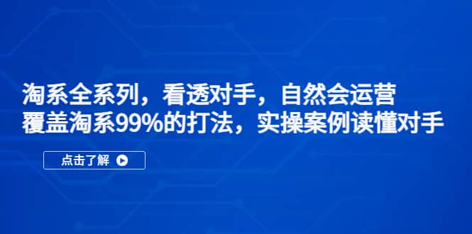 淘系全系列，看透對(duì)手，自然會(huì)運(yùn)營(yíng)，覆蓋淘系99%·打法，實(shí)操案例讀懂對(duì)手插圖