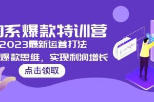 2023淘系爆款特訓(xùn)營，2023最新運(yùn)營打法，學(xué)習(xí)爆款思維，實(shí)現(xiàn)利潤增長