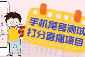 最新抖音爆火的手機(jī)尾號(hào)測(cè)試打分無人直播項(xiàng)目 日賺幾百 【打分腳本 教程】