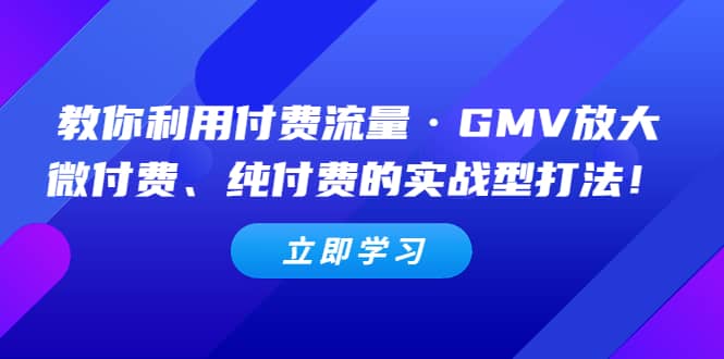 教你利用付費(fèi)流量·GMV放大，微付費(fèi)、純付費(fèi)的實(shí)戰(zhàn)型打法插圖