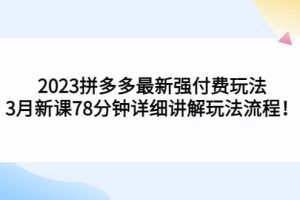 2023拼多多最新強(qiáng)付費(fèi)玩法，3月新課78分鐘詳細(xì)講解玩法流程