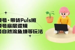 視頻號·帶貨Puls班，視頻號底層邏輯，起號自然流魚塘等玩法