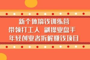 新個(gè)體搞錢訓(xùn)練營：帶領(lǐng)打工人 副操業(yè)盤手 年輕創(chuàng)業(yè)者拆解賺錢項(xiàng)目