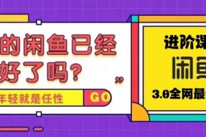 火爆全網(wǎng)的咸魚玩法進階課程，咸魚進階課程