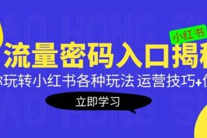 小紅書流量密碼入口揭秘：帶你玩轉(zhuǎn)小紅書各種玩法 運(yùn)營(yíng)技巧 優(yōu)化