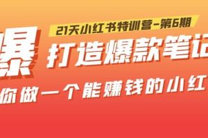 21天小紅書特訓營-第6期，打造爆款筆記，帶你做一個能賺錢的小紅書