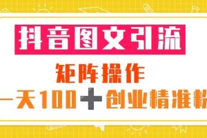 抖音圖文引流 矩陣操作 一天100 創業精準粉（5節視頻課 素材模板）
