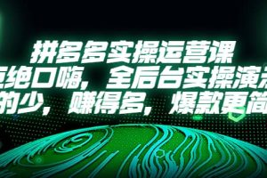 拼多多實操運營課：拒絕口嗨，全后臺實操演示，花的少，賺得多，爆款更簡單