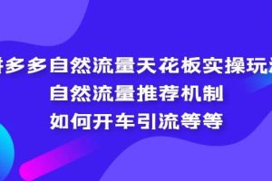 拼多多自然流量天花板實(shí)操玩法：自然流量推薦機(jī)制，如何開車引流等等