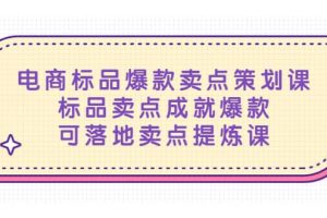 電商標品爆款賣點策劃課，標品賣點成就爆款，可落地賣點提煉課