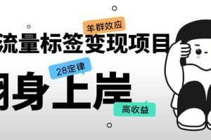 抖音流量標簽變現(xiàn)項目，抖音創(chuàng)業(yè)粉輕松轉(zhuǎn)化，單價高收益簡單