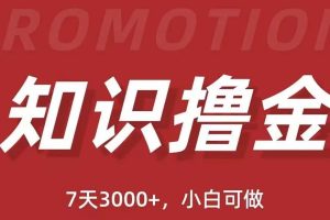 抖音知識擼金項目：執行力強當天見收益(教程 資料)