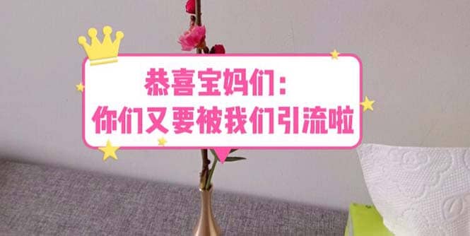 恭喜寶媽們：你們又要被我們引流了（教程 222g資料）插圖