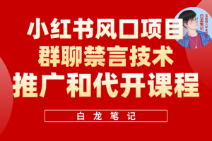 小紅書風口項目日入300 ，小紅書群聊禁言技術代開項目，適合新手操作