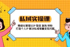 私域實戰課程：精細化管理SOP 裂變 復購 轉粉 打造個人IP 私域增量變現問題