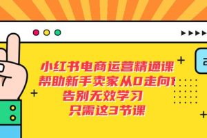 小紅書電商·運營精通課，幫助新手賣家從0走向1 告別無效學習（7節視頻課）