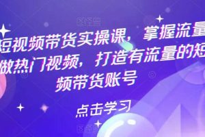 熱門短視頻帶貨實戰 掌握流量密碼 做熱門視頻 打造有流量的短視頻帶貨賬號