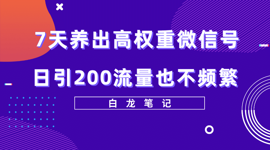 7天養出高權重微信號，日引200流量也不頻繁，方法價值3680元插圖