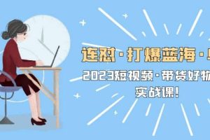 連懟·打爆藍海·單品，2023短視頻·帶貨好物分享·實戰課