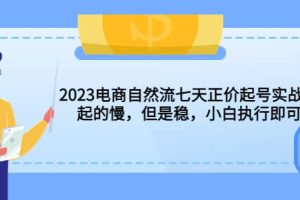 2023電商自然流七天正價起號實戰課：起的慢，但是穩，小白執行即可