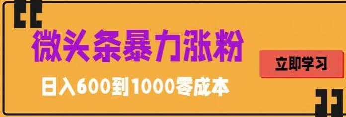 微頭條暴力漲粉技巧搬運文案就能漲幾萬粉絲，簡單0成本，日賺600插圖