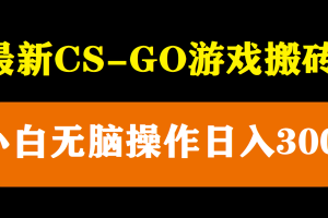 最新csgo游戲搬磚游戲，無需掛機(jī)小白無腦也能日入300