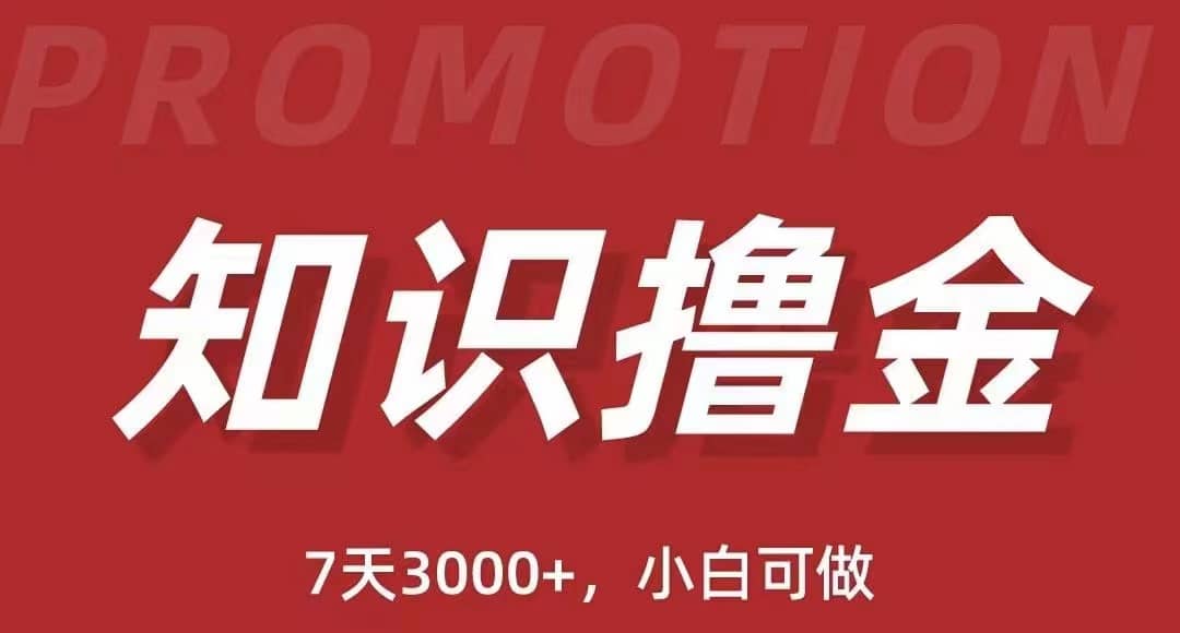 抖音知識擼金項目：執行力強當天見收益(教程 資料)插圖
