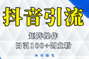 抖音引流術，矩陣操作，一天能引100多創業粉