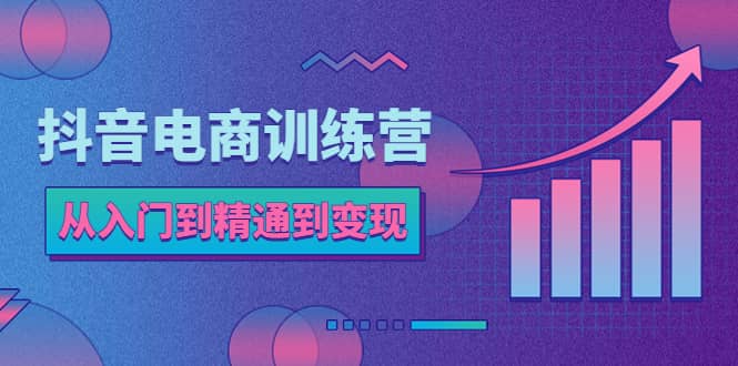 抖音電商訓練營：從入門到精通，從賬號定位到流量變現，抖店運營實操插圖