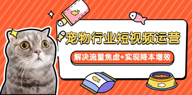 寵物/行業(yè)短視頻運(yùn)營(yíng) 流量增長(zhǎng)的一層窗戶紙 解決流量焦慮 實(shí)現(xiàn)降本增效插圖